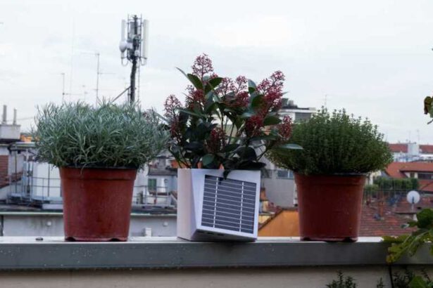 Il Vaso Arianna arriva a Roma: controllerà la qualità dell'aria che respiriamo in città 9