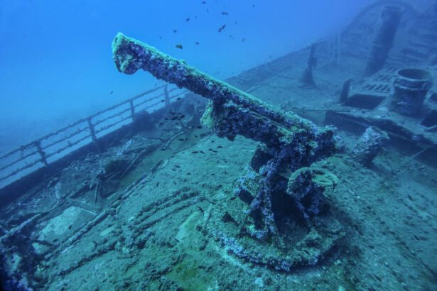 Il pericolo delle armi in mare: parla il biologo Ezio Amato 14