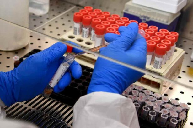 Oms: "Molto raro il contagio dagli asintomatici". Gli scienziati non sono d'accordo 18