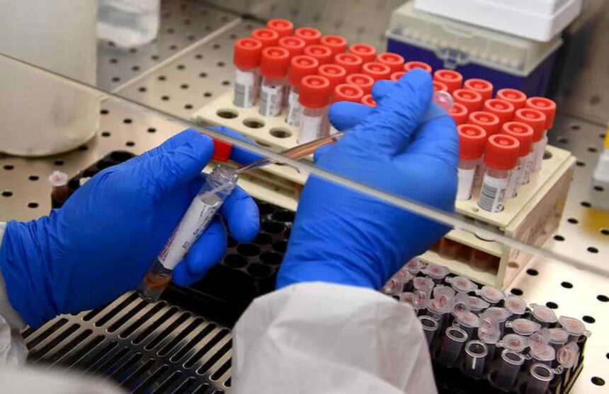 Oms: "Molto raro il contagio dagli asintomatici". Gli scienziati non sono d'accordo 1