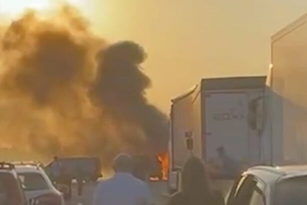 Assalto al portavalori, bloccata per ore l’A1 tra Modena e Bologna: rapinatori ancora in fuga 17