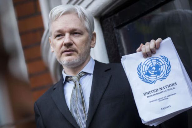 Londra ferma l'estradizione di Julian Assange negli USA: "Rischio suicidio" 7