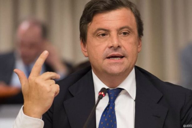 Ballottaggio Roma. Calenda: “Se volete i miei voti dovete promettere l'estinzione dei grillini” 17