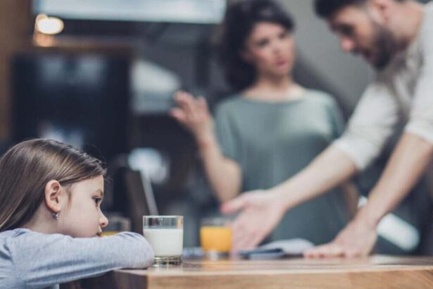 Il dramma dei “restituiti”. Una bambina alla mamma affidataria: “Ti prego fammi restare con te” 7