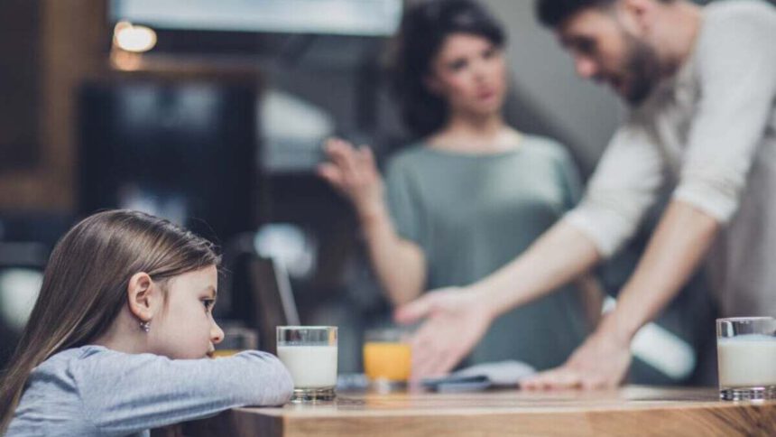 Il dramma dei “restituiti”. Una bambina alla mamma affidataria: “Ti prego fammi restare con te” 1