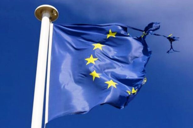 L’Unione Europea sarà vittima del Covid-19? 14