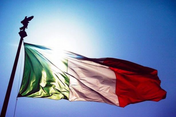 Referendum Costituzionale, le reazioni della politica e le conseguenze istituzionali 14