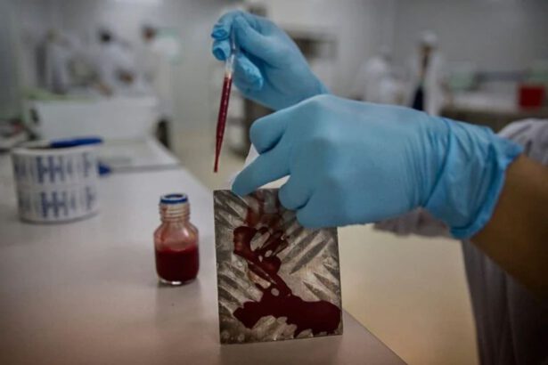 Batterio Cina, in 3mila infettati dalla brucellosi per una fuga di laboratorio 7