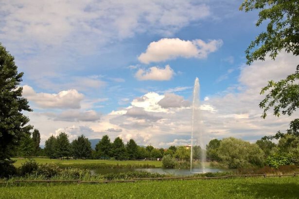 Bergamo, nasce il Bosco della Memoria per le vittime del Covid: “Ricorderemo attraverso la vita” 19