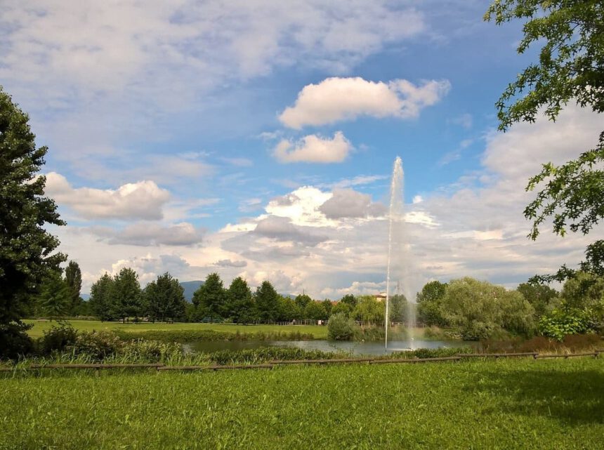 Bergamo, nasce il Bosco della Memoria per le vittime del Covid: “Ricorderemo attraverso la vita” 1