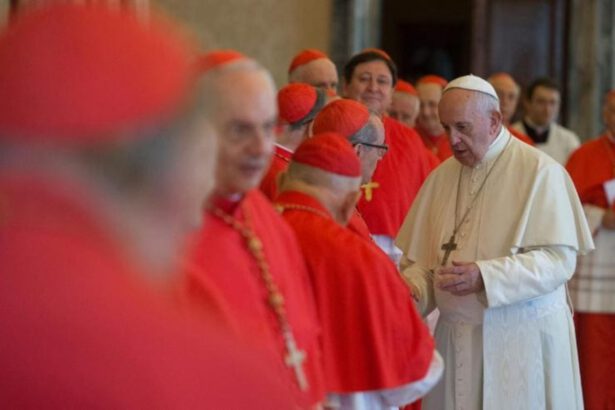 Scossa in Vaticano, Papa Bergoglio: "Cardinali e vescovi saranno giudicati da tribunali ordinari" 17