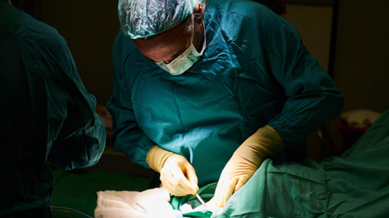 Bimbo deve essere operato al cuore, i genitori: “Vogliamo solo sangue no vax” 3 bimbo deve essere operato_