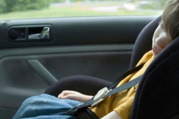 Con 30 gradi sotto il sole resta intrappolato in auto: bimbo di 22 mesi salvato dai Carabinieri 17