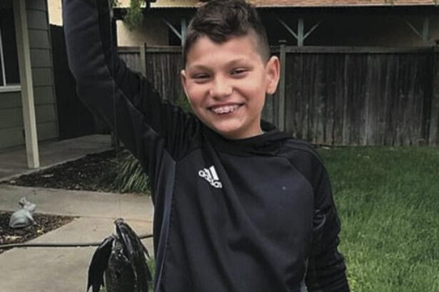 California: bimbo si toglie la vita a 11 anni, in diretta durante una lezione online 10