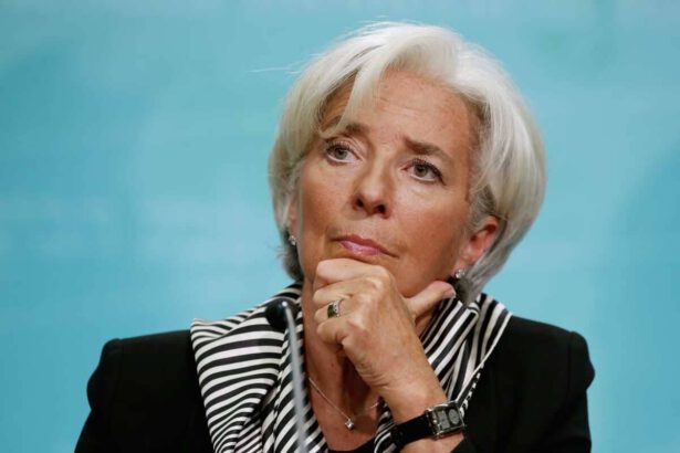 Bce, ecco perché il bitcoin non sarà mai una moneta. E intanto l'UE studia l'Euro digitale 12