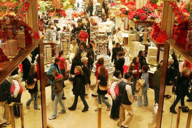 Bonus Natale fino a 1.400 euro a famiglia: cos'è, a chi spetta e come richiederlo 15