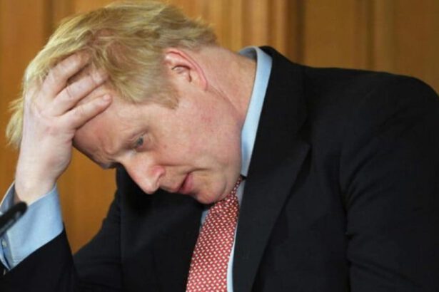 Boris Johnson ammette: "Ho partecipato a una festa durante il lockdown" 17