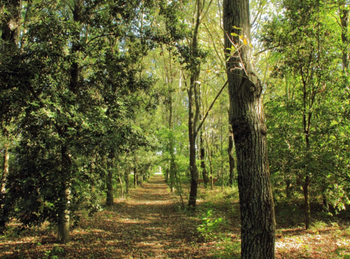Indagine Inapp sullo Smart working: ai lavoratori italiani piace lavorare da casa 3