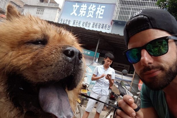 La storia di Davide, l’italiano che salva i cani dal massacro del Festival in Cina 7