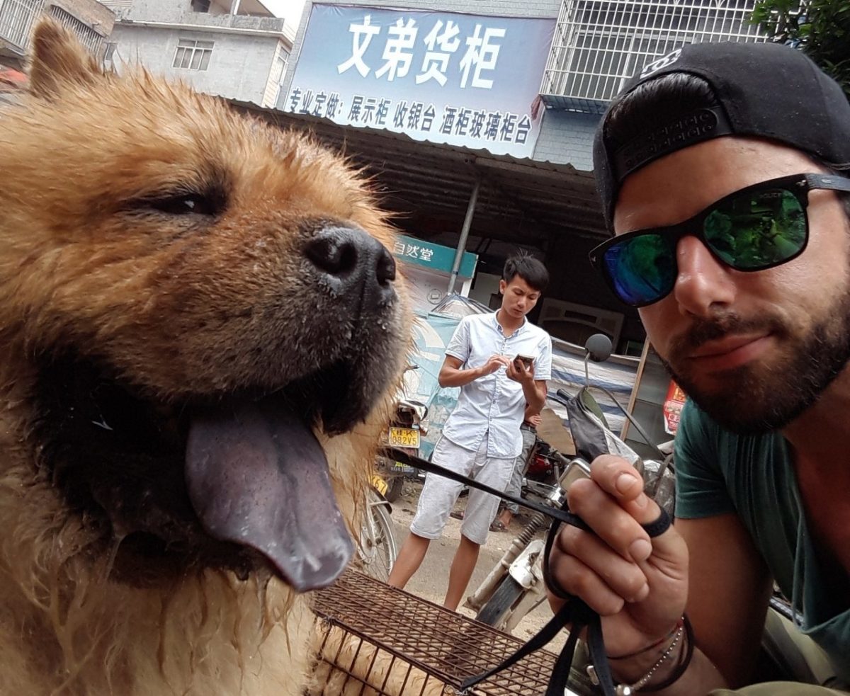 La storia di Davide, l’italiano che salva i cani dal massacro del Festival in Cina 13