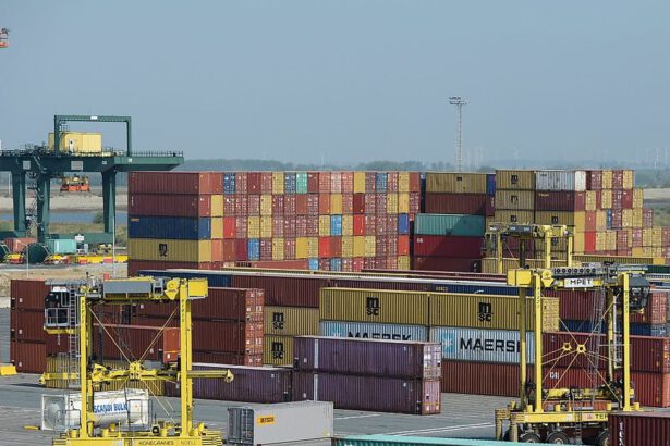 La pandemia non ferma il traffico di cocaina in Europa: l'Irlanda è la nuova porta sul continente 7