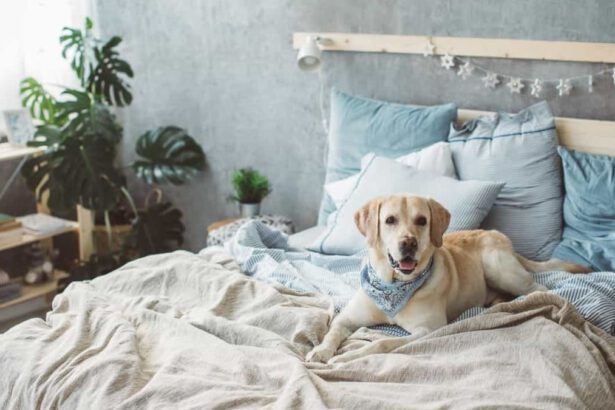 Ogni quanto bisogna cambiare le lenzuola e cosa succede se ci si dimentica di farlo 12