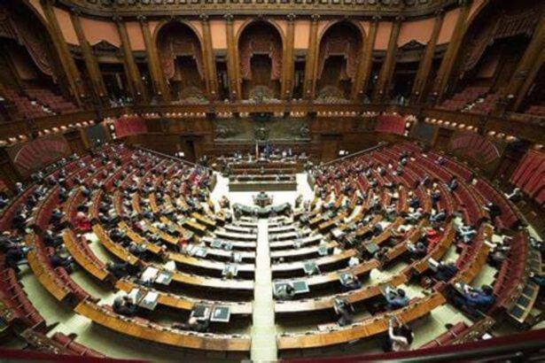 La Camera ha votato a favore per conferire la cittadiza italiana a Patrick Zaki 10