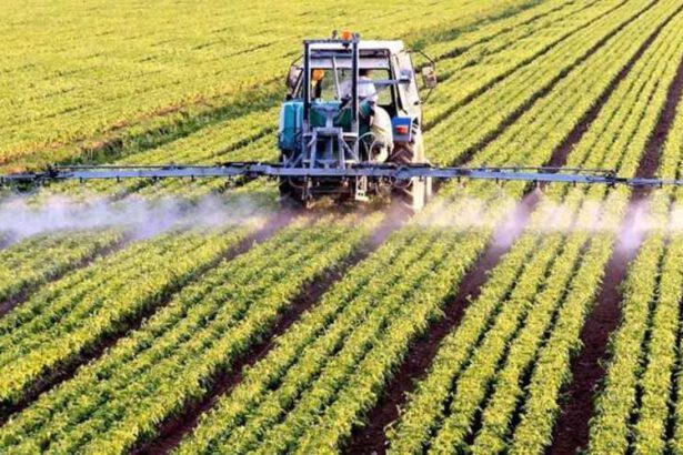 Farm to fork, la strategia europea da 20 miliardi di euro. Ecco cos’è 15