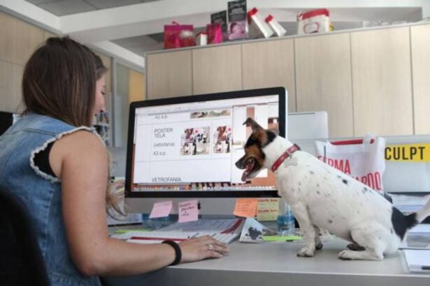 Oggi è la Giornata Mondiale del cane in ufficio. Anche ai tempi del Covid? 11