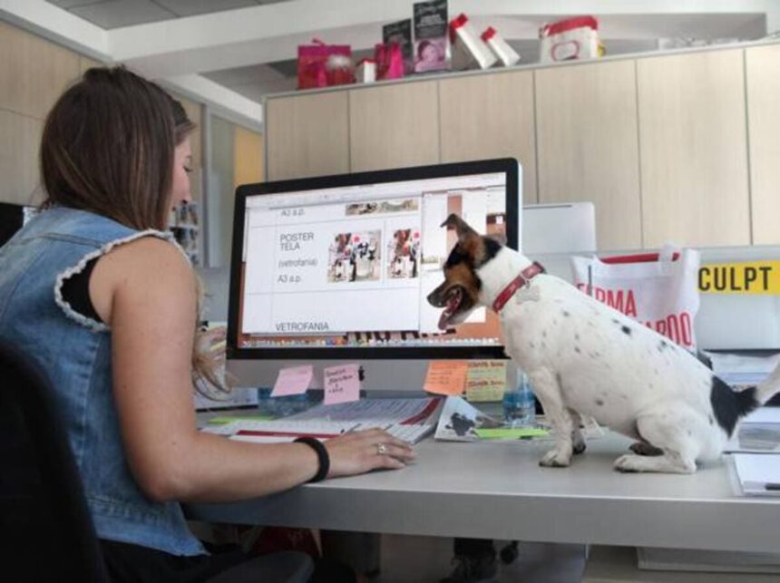 Oggi è la Giornata Mondiale del cane in ufficio. Anche ai tempi del Covid? 1