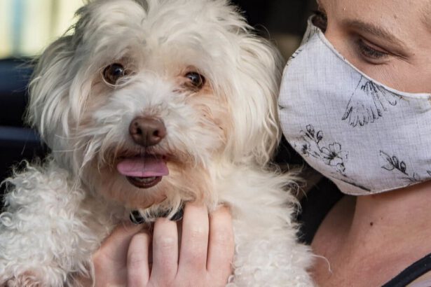 Primo cane positivo al Covid, l'Enpa chiarisce 5