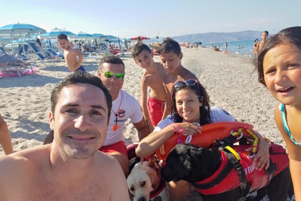 Calabria, bambino smarrito ritrovato da cani di salvataggio 19