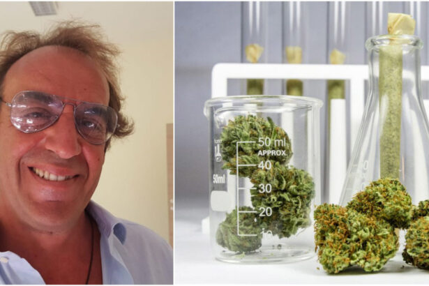 Cannazza, chi è l'italiano che ha scoperto il cannabinoide 33 volte più efficace del THC 89