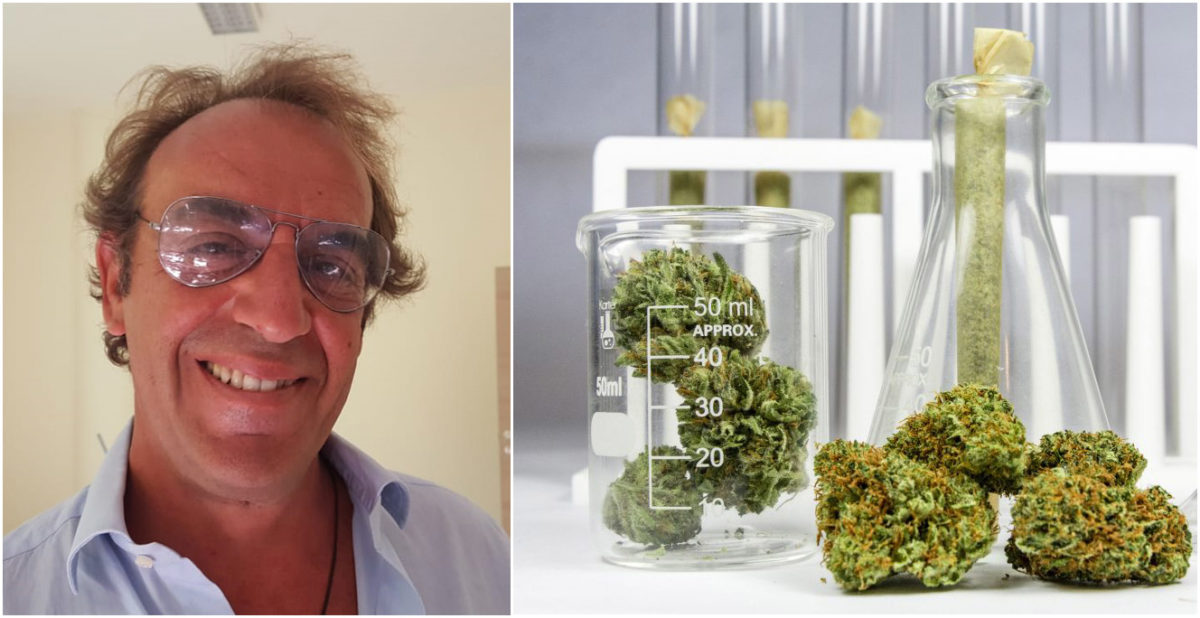 Cannazza, chi è l'italiano che ha scoperto il cannabinoide 33 volte più efficace del THC 13