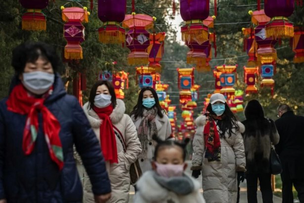 Capodanno cinese 2021, inizia l’anno del Bufalo: le caratteristiche del segno 15