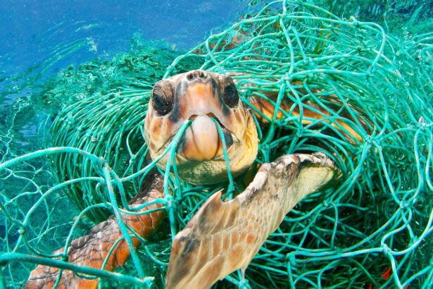 La sfida di Unilever: "Vogliamo dire addio ai rifiuti plastici e mantenere il pianeta pulito" 15