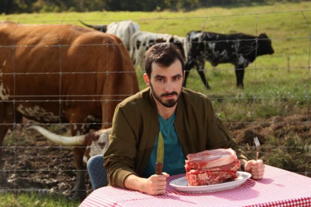 Stop ai macelli, il futuro è la carne prodotta da CO2 14