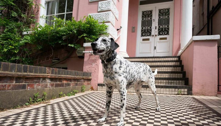 Avete 10 milioni di euro? A Londra è in vendita la casa de "La carica dei 101" 1