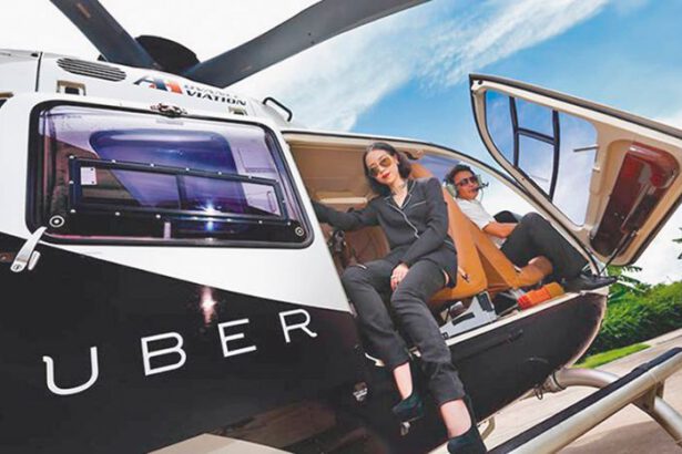 Non crediamo agli asini che volano, ma ai taxi sì 15