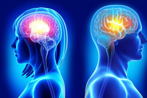 A parità di età, il cervello femminile risulta 3 anni più giovane di quello maschile: invecchia più lentamente 13