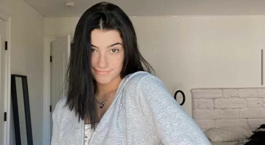 Chi è Charli D’Amelio, la tiktoker che fa impallidire la Ferragni 2 Chi è Charli D’Amelio, la tiktoker che fa impallidire la Ferragni 1