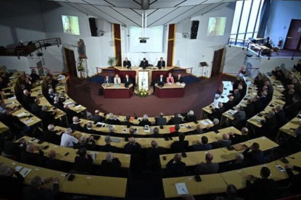 Chiesa francese vende immobili per risarcire le vittime di pedofilia 16