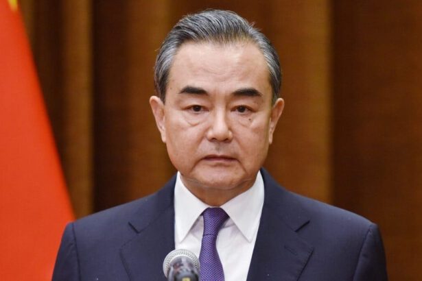 Guerra Russia-Ucraina, la Cina non interviene. Quali interessi ha per non farlo? 42