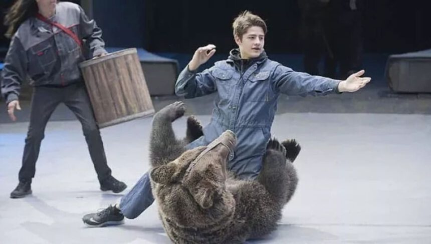 Orso sbrana un aspirante domatore al circo: “Indossava mascherina, non l’ha riconosciuto” 2 Orso sbrana un aspirante domatore al circo: “Indossava mascherina, non l’ha riconosciuto” 1