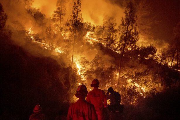 Cos’è la solastalgia, quando il cambiamento climatico danneggia la salute mentale 13