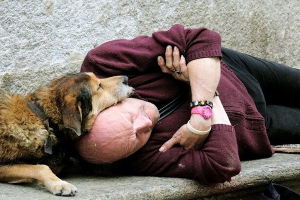 Coronavirus, il dramma dei 40mila senzatetto che a casa non possono restare 14