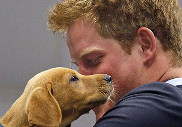 Coronavirus, la viciza al nostro cane potrebbe renderci immuni 11