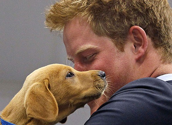 Coronavirus, la viciza al nostro cane potrebbe renderci immuni 1