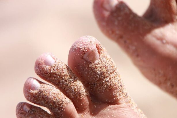 Sai come si chiamano le dita dei piedi? 5