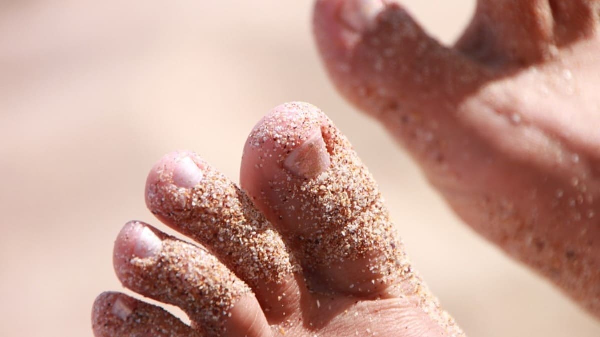 Sai come si chiamano le dita dei piedi? 21